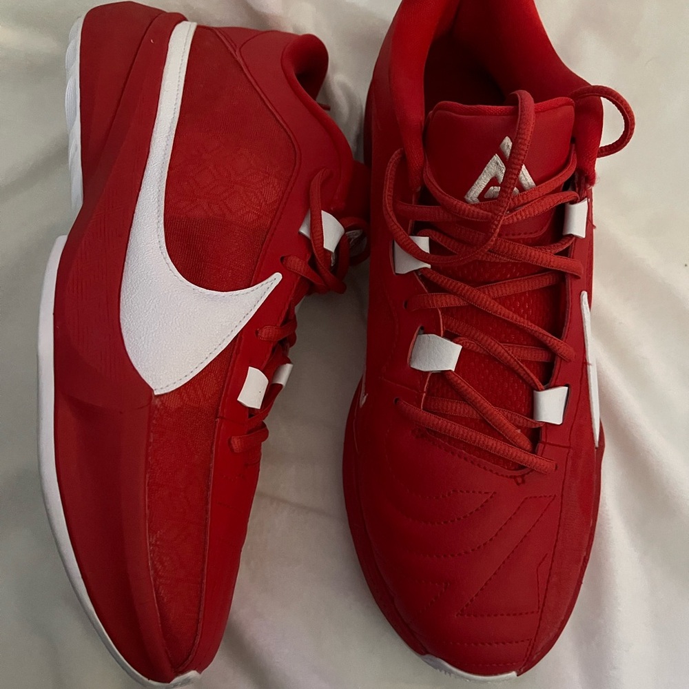 Men's Nike Zoom Freak 5 Team